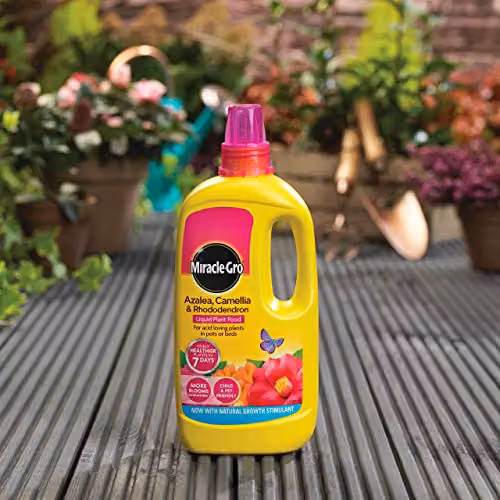 Miracle-Gro Concentrated Liquid Plant Food for Azalea, Camellia and Rhododendron, 1 l – 2