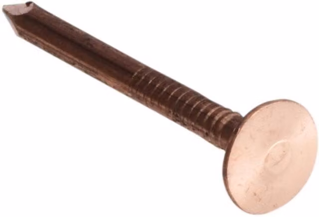 Forgefix Multi-purpose Broad Flat Clout Nails in Copper