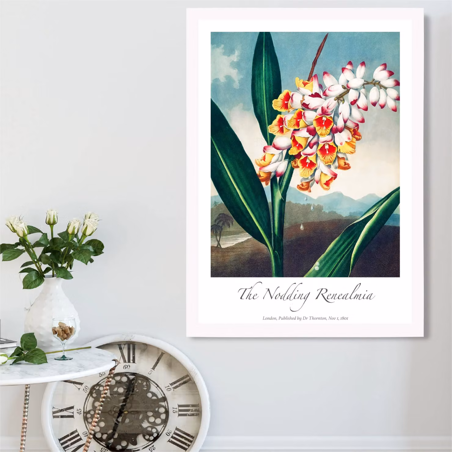 ARTZE Renealmia Flower Framed Print, Vintage Floral Botanical Poster in a White Frame, Multicolour – 2