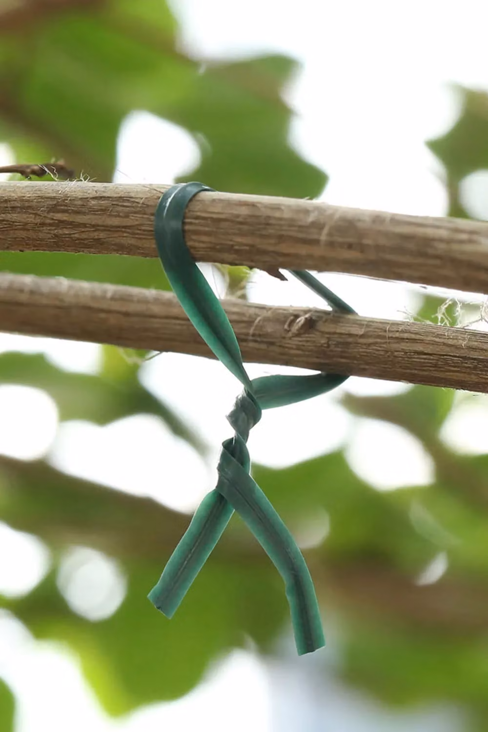 Neel Blue 200pcs Plastic Twist Ties, 6 Inch Soft Dark Green Garden Plant Ties – 6