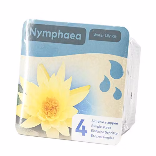 YouGarden Yellow Nymphaea Chromotella Water Lily Planting Kit – 3