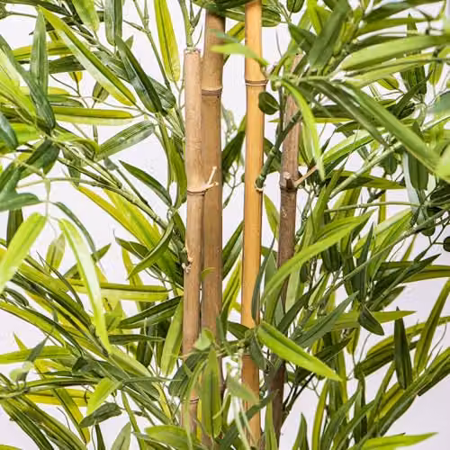 Garden Gear Artificial Bamboo Tree in Green with Basket, Height: 150 cm – 6