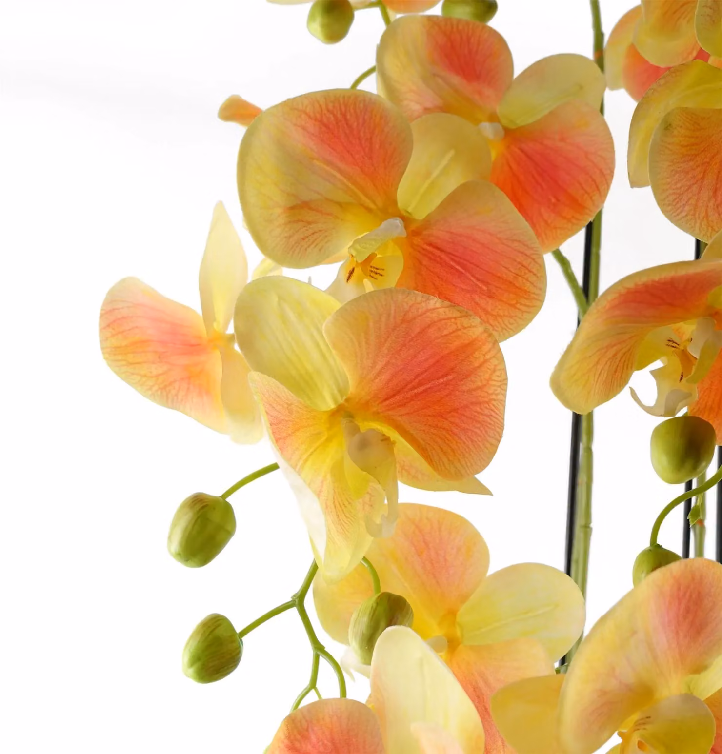 Leaf Design UK Real Touch Artificial Yellow Orchid Plant in Green Pot, Height: 110 cm – 2