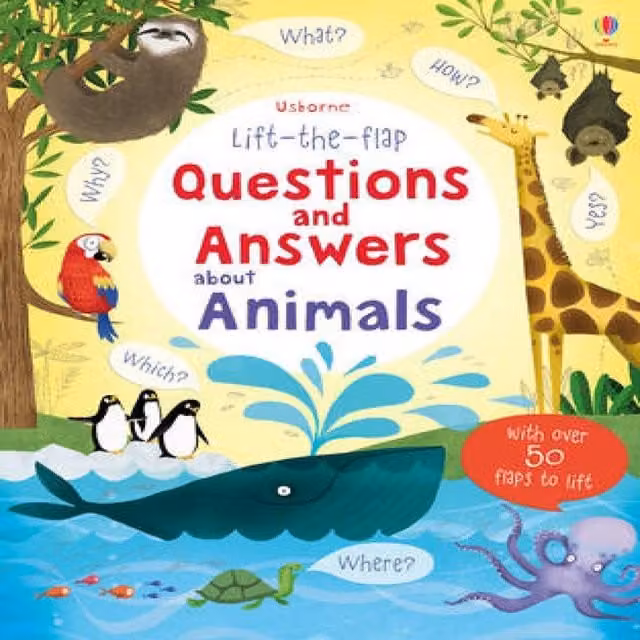 Katie Daynes Lift-the-flap Questions and Answers about Animals Multicolour Board Book