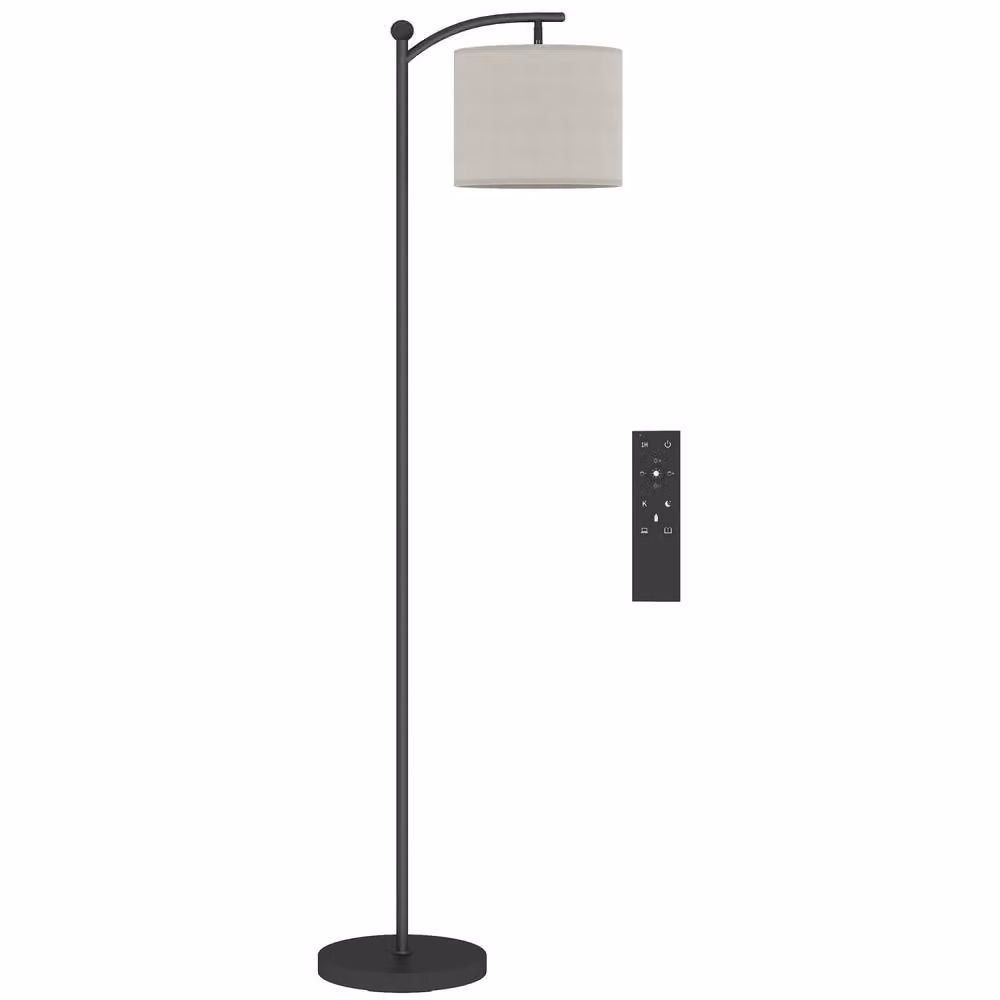 Wyld Haus Mota Nelo Black Metal LED Floor Lamp with Remote Control – 2