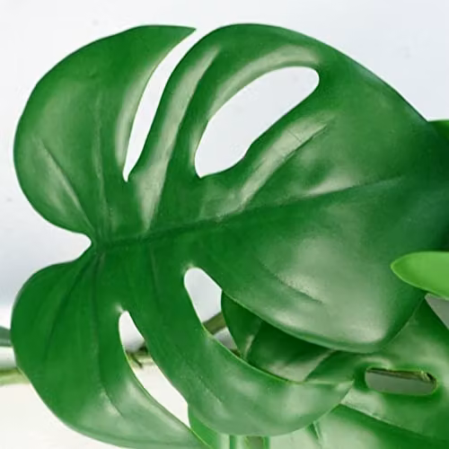 Leaf 180cm Artificial Hanging Trailing Monstera Plant in Green – 3