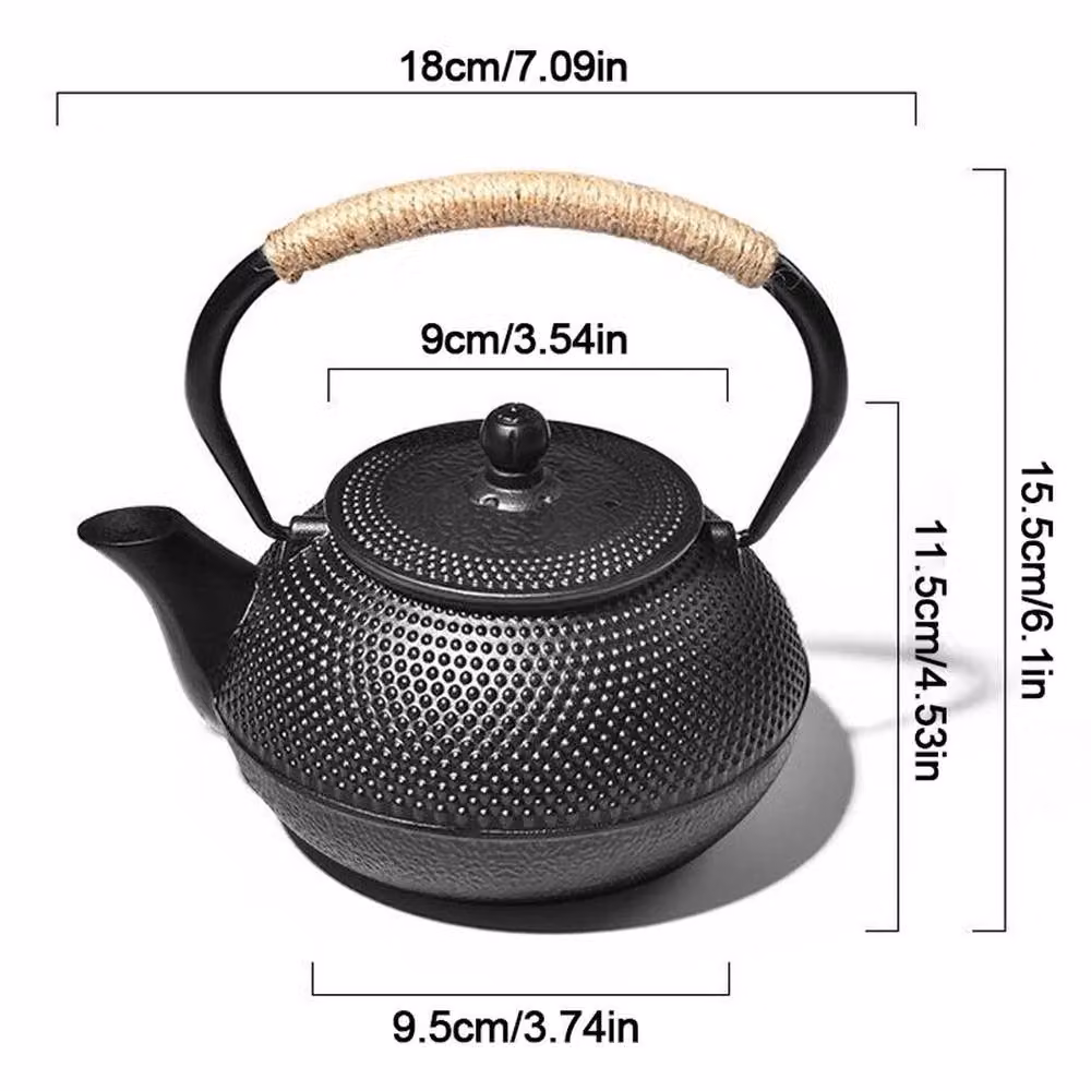 NESTLUNE Black Cast Iron Stovetop Tetsubin Teapot with Infuser, 0.9 l – 2