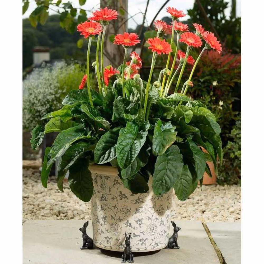 Jardinopia Large Sitting Hare Plant Pot Feet, Set of 3, Bronze – 4