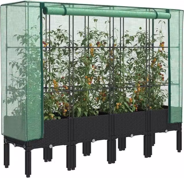 Berkfield Home Raised Bed with Greenhouse Cover in Black Rattan Look, W/D/H: 160 x 40 x 140 cm
