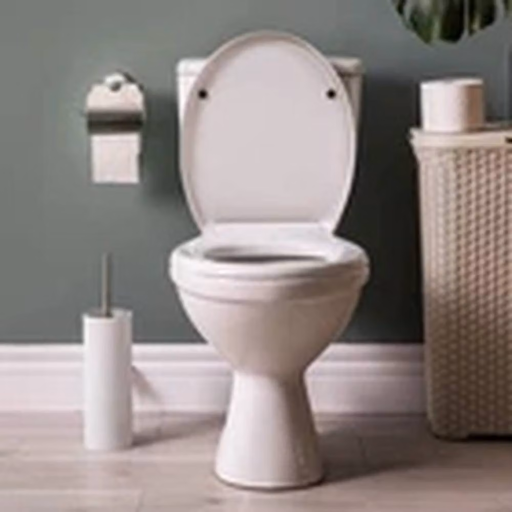 EONLION Soft Close Oval Toilet Seat with Quick Release in White – 2