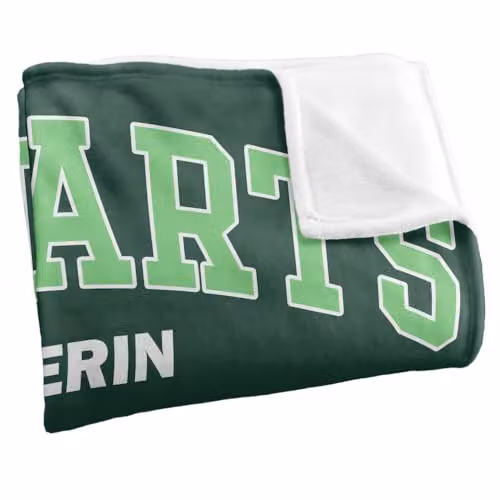 Warner Bros. Harry Potter Hogwarts Slytherin Alumni Super Soft Fleece Throw Blanket, Multicolour, W: 152.4 cm x D: 127.0 cm – 2
