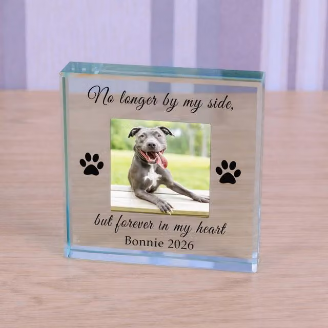 Uniqueful Personalised Forever in my Heart Pet Memory Glass Token in Transparent and Beige