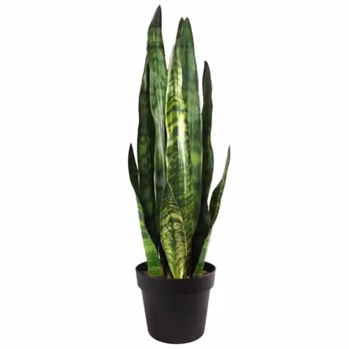 Botanik Green Potted Artificial Office Plant in Black Tabletop Pot – 1