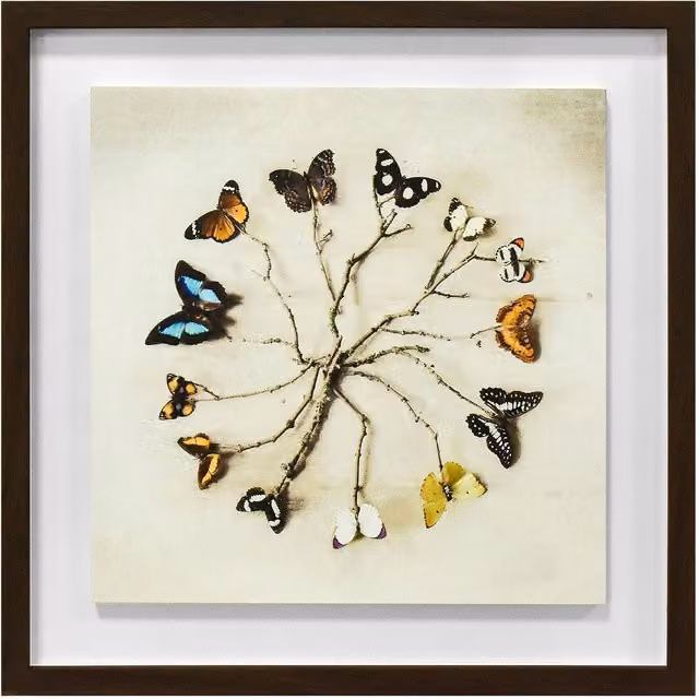 Ian Winstanley Butterfly Harmony Multicolour Wood Framed Floral Plaque, 40 x 40 cm
