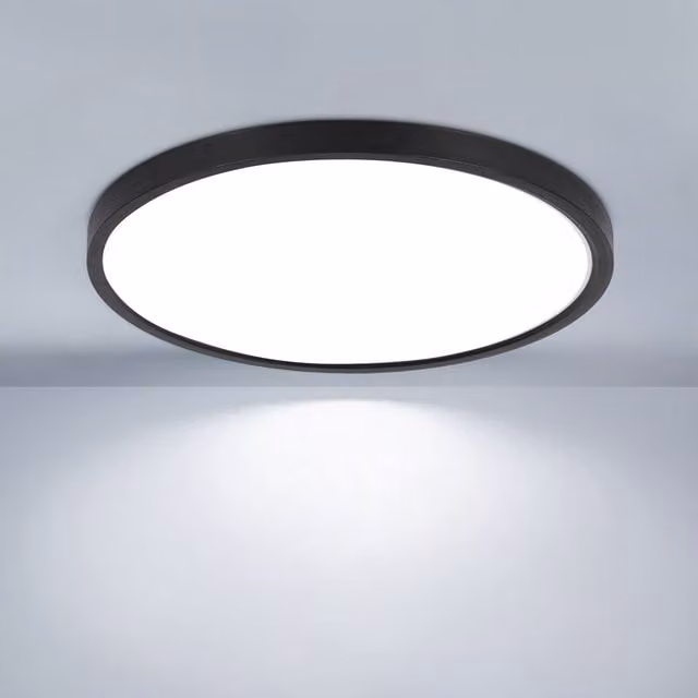 Pheashine Black Round LED Ceiling Light, 24W, 6500K Cool White, Diameter: 30 cm