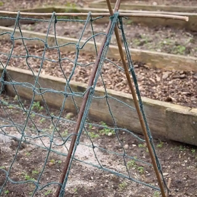 Primrose Green Jute Garden Netting for Vegetable and Ornamental Support, W: 110 cm, H: 226 cm