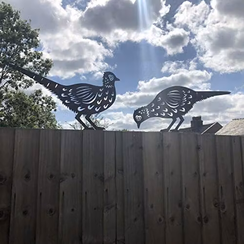 Rustic Warehouse Norfolk Limited Pair of Rusty Metal Pheasant Garden Statues in Brown – 3