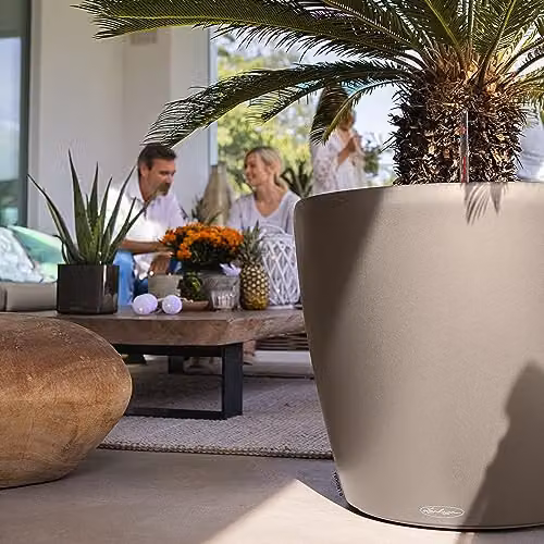Lechuza Classico Self Watering Plant Pot, Sand – 3