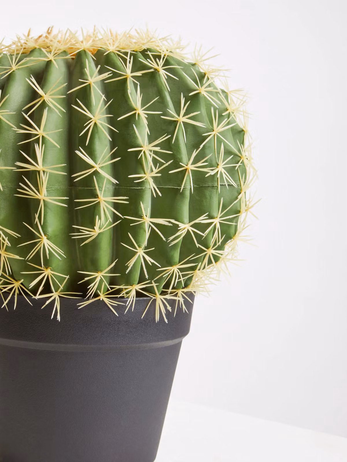 Orsina Fiori Green Artificial Round Cactus in Black Plastic Pot – 5