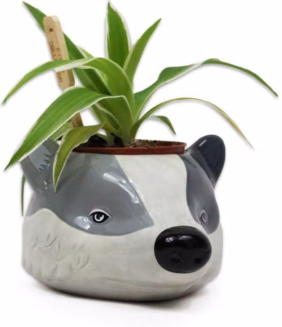 Harry Potter Hufflepuff Ceramic Round Tabletop Plant Pot in Grey