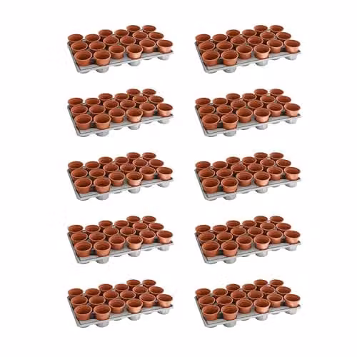 Thompson & Morgan Brown Plastic Garden Shuttle Trays with 180 Pots