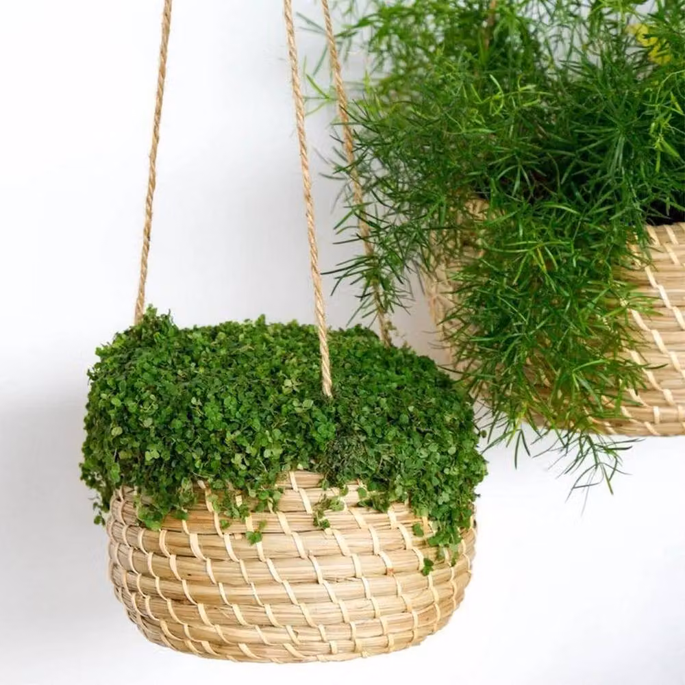 Ivyline Hanging Seagrass Planter Set of 2 in Brown and Beige – 3
