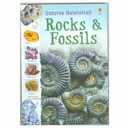 Usborne Rocks and Fossils: 1 Naturetrail Multicolour Paper Book