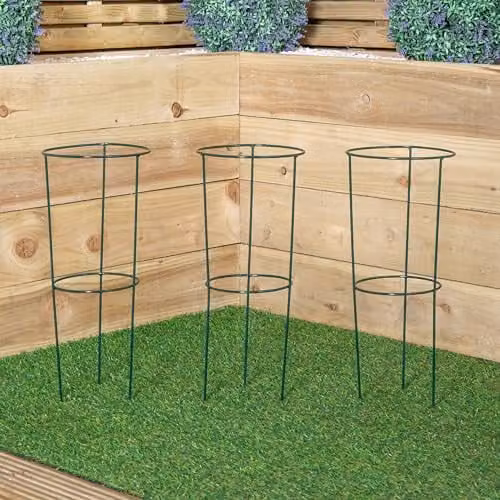 Samuel Alexander Pack of 3 Urban Green Conical Garden Plant Support Rings in Dark Green, 20 cm – 1