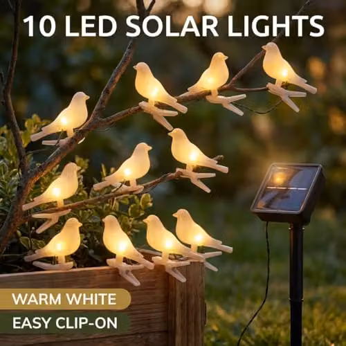 GardenKraft Solar Bird Outdoor String Lights with 10 Warm White LEDs, 3.8m Length – 3
