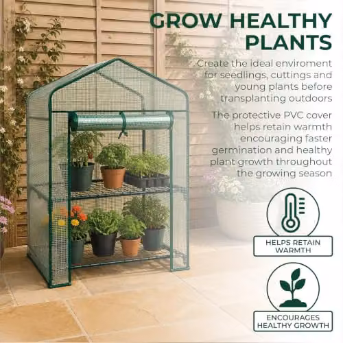 St Helens Home & Garden 2-Tier Mini Greenhouse with Shelves and Green PVC Cover – 3