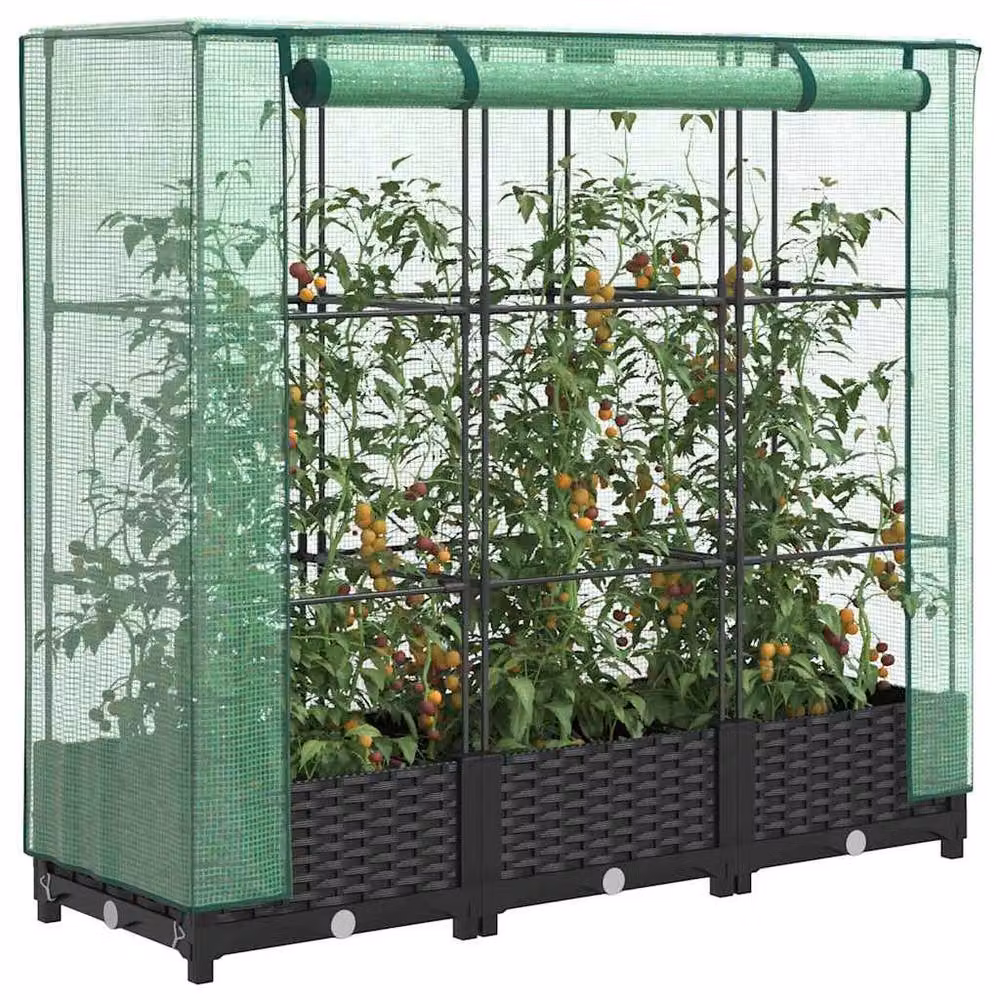 Berkfield Home Raised Bed with Greenhouse Cover in Black Rattan Look, W/D/H: 120 x 40 x 123 cm – 1