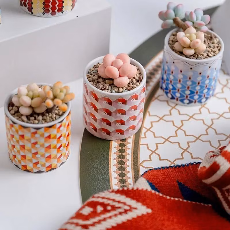 Simpa 6-Piece Multicolour Gradient Pattern Ceramic Plant Pots with Bamboo Bases – 3