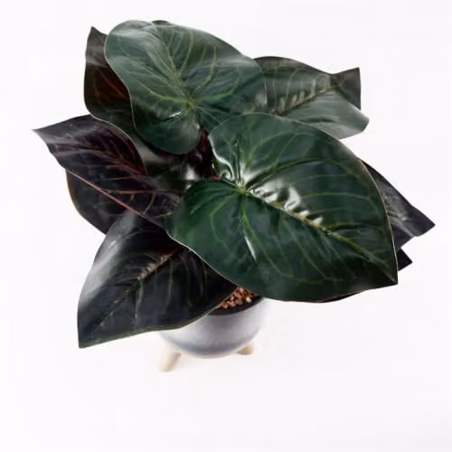 Leaf Design UK Artificial Ficus Tree with Teal Blue Green Ceramic Planter, Height: 35 cm – 3
