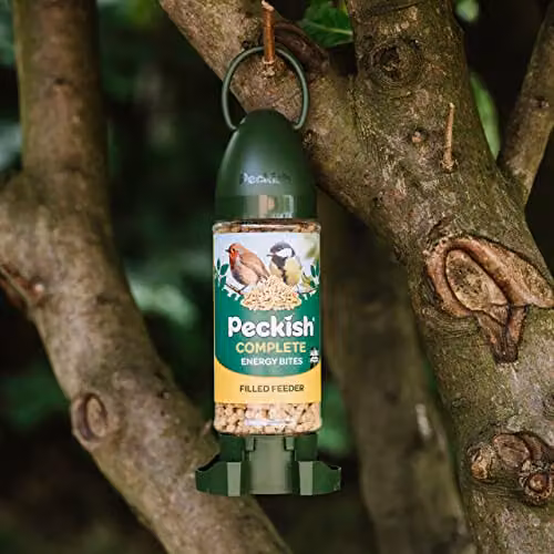Peckish Complete Energy Bites Ready To Use Feeder in Green – 2