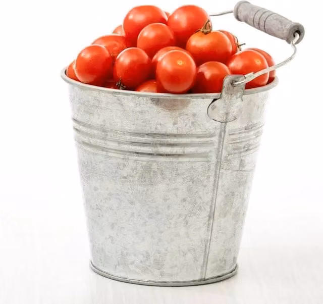 NESTLUNE 15L Tradition Galvanised Steel Metal Planter in Silver