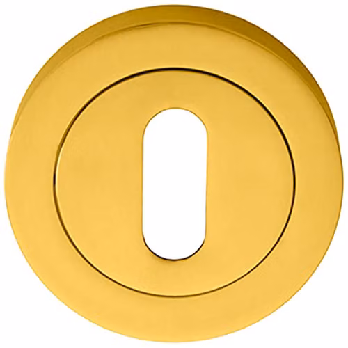 Loops 50mm Lock Profile Escutcheon in Polished Brass with Concealed Fix