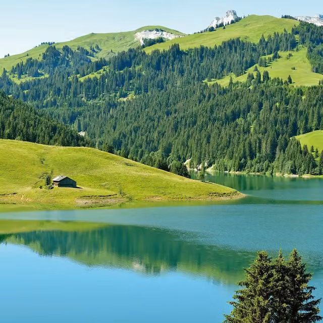 Swiss Mountain Lake Wall Mural in Green