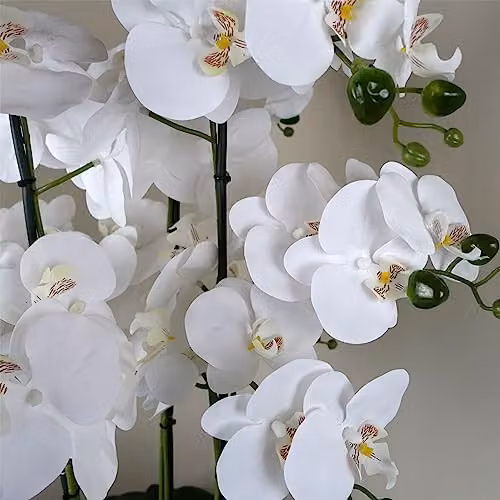 Botanik 60cm Artificial Orchid in a White and Gold Ceramic Planter with Green Leaves – 3