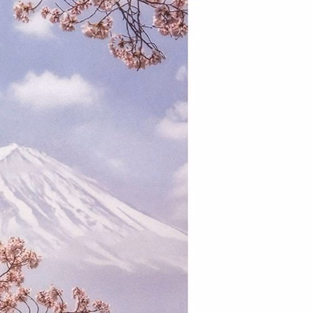 Pyramid International Makiko Samejima Mount Fuji Cherry Blossom Paper Poster in Blue – 2
