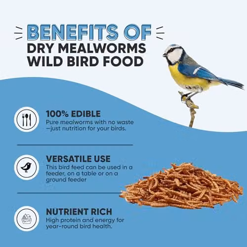 Happy Beaks Dried Mealworms for Wild Birds, High Protein Bird Feed, 5kg – 5