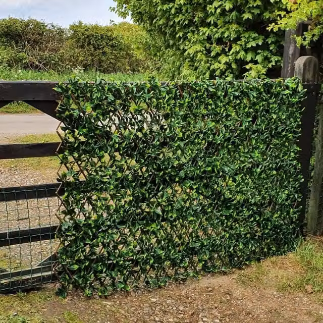 True Products Artificial Variegated Laurel Leaf on Woven Willow Trellis, Green, W: 100 cm, H: 200 cm