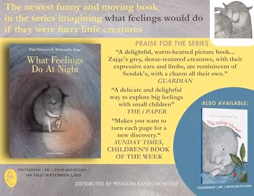 What Feelings Do at Night by Pushkin Children's Books, Grey Paper Edition – 2