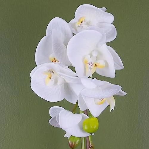 Botanik Potted Artificial White and Gold Orchid Plant, Height: 46 cm – 2