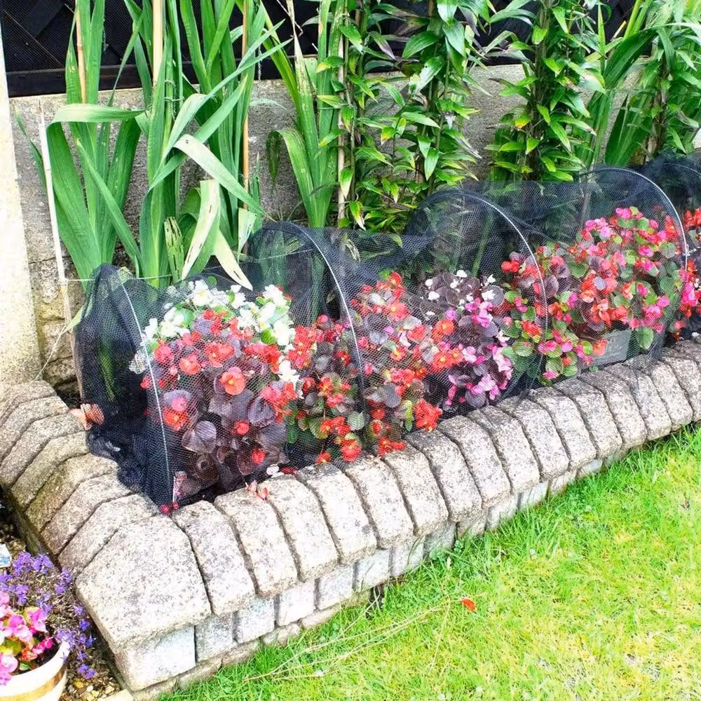 FLAVORA Garden Net Grow Tunnel Plant Protection Mesh Cover, Black, W: 100 cm, D: 45 cm, H: 15 cm – 2