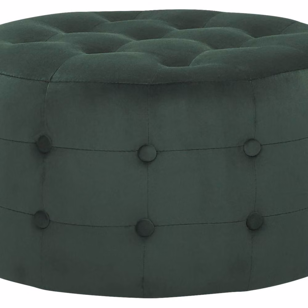 Wyld and Coco Dark Green Velvet Round Cylindrical Pouffe – 2