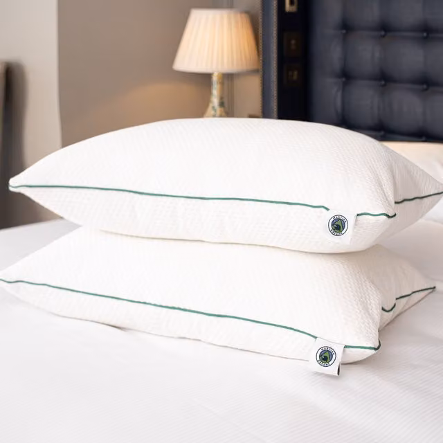 Martian Made Velistra Ultra Soft Microfibre Hotel Pillows 2 Pack, White, W: 50 cm, H: 75 cm