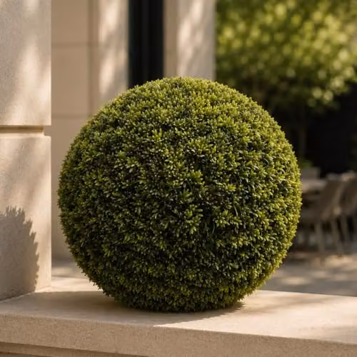 Leaf UK Botanik Green Artificial Thyme Topiary Ball, Diameter: 45 cm – 3