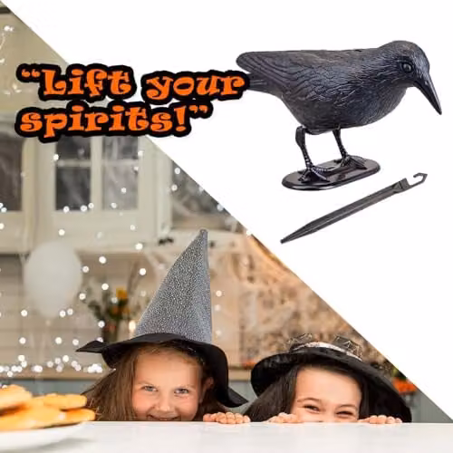 VFM e-Store Black Crow Halloween Decoration with Ground Spike – 6