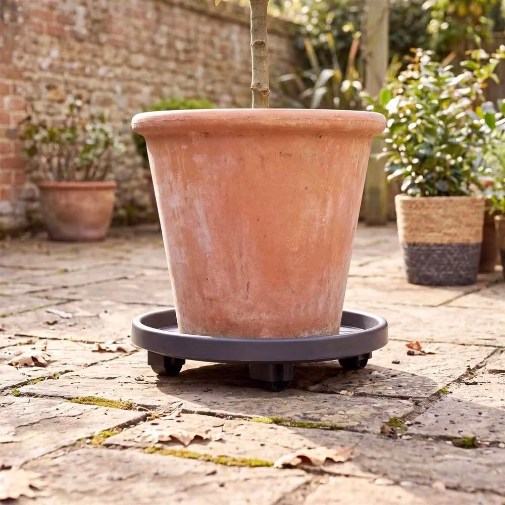 NESTLUNE Black Rolling Plant Caddy Pot Trolley with Wheels – 2