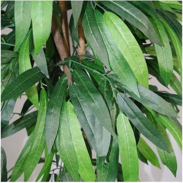Dyzi 80cm Artificial Mango Tree in Green